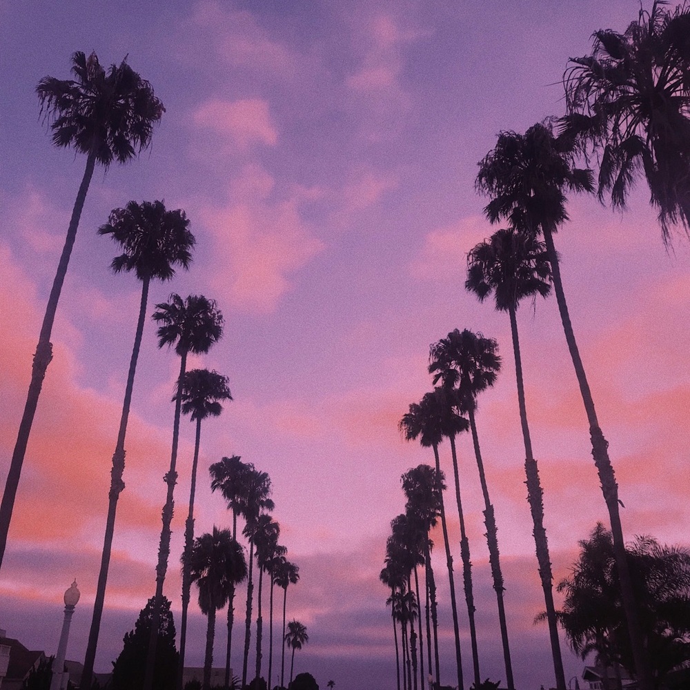 Meet your Posher, Colby